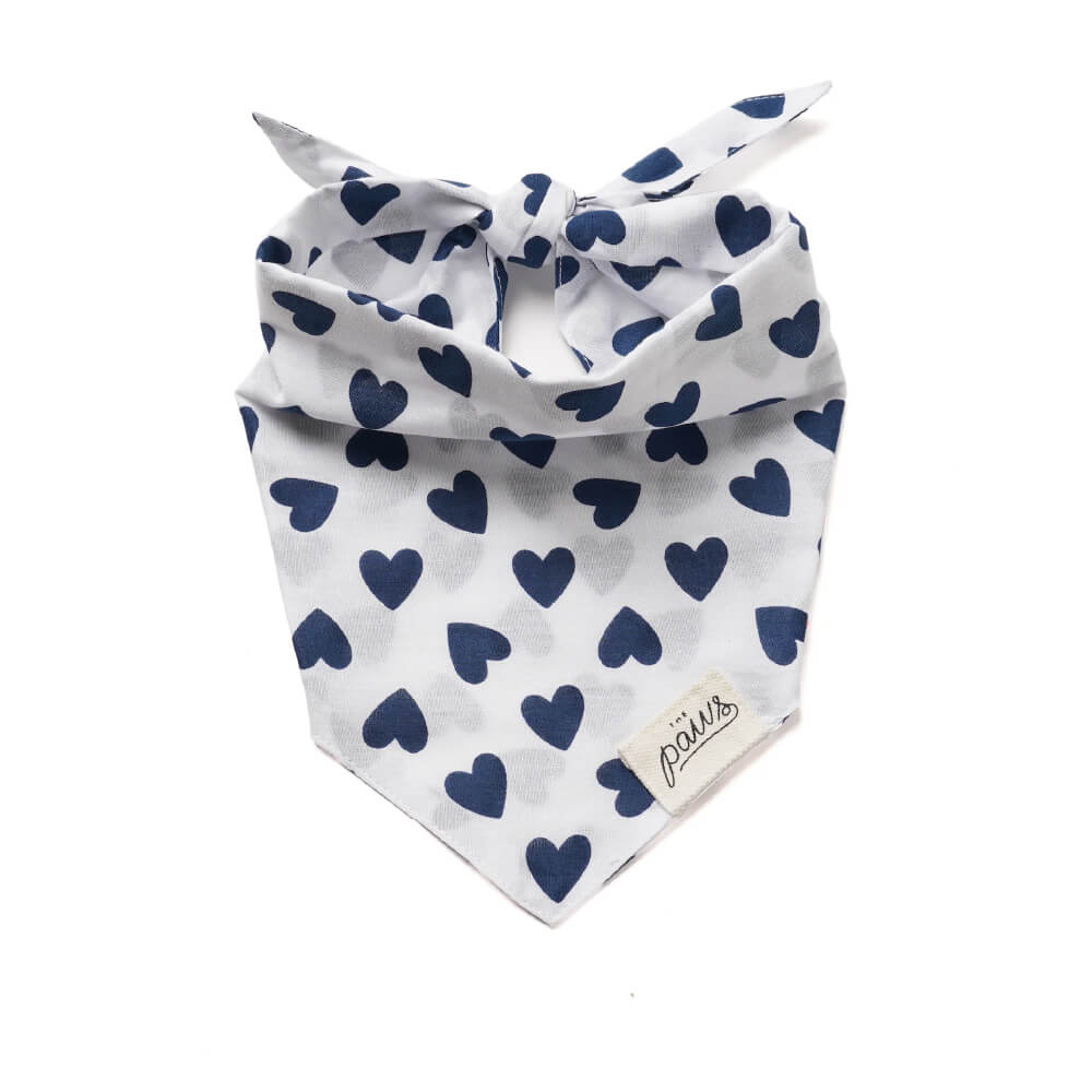 The Paws Bandana | Bowie