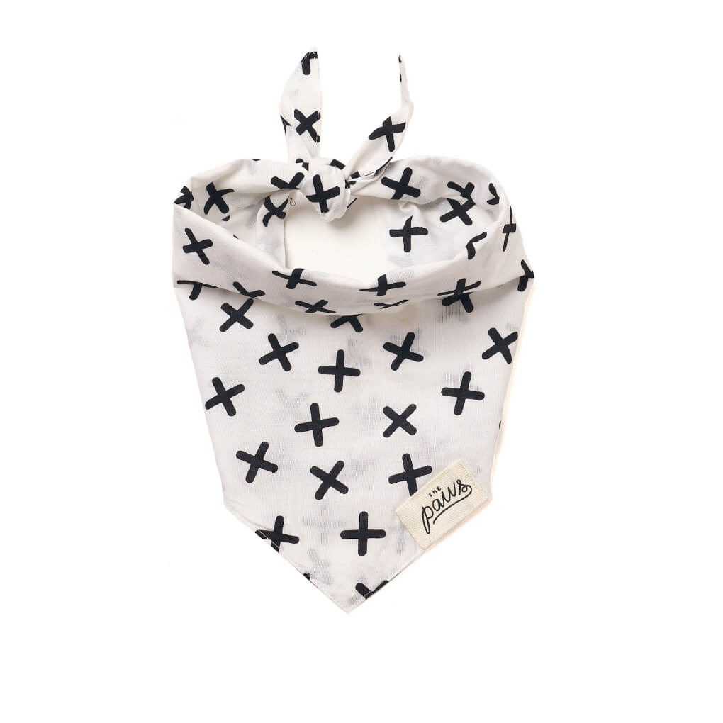 The Paws Bandana | Everyday - Vanillapup Online Pet Store