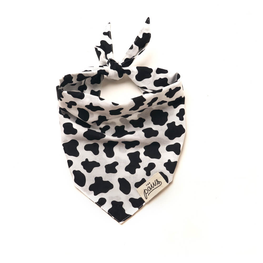 The Paws Bandana | Holy Cow - Vanillapup Online Pet Store