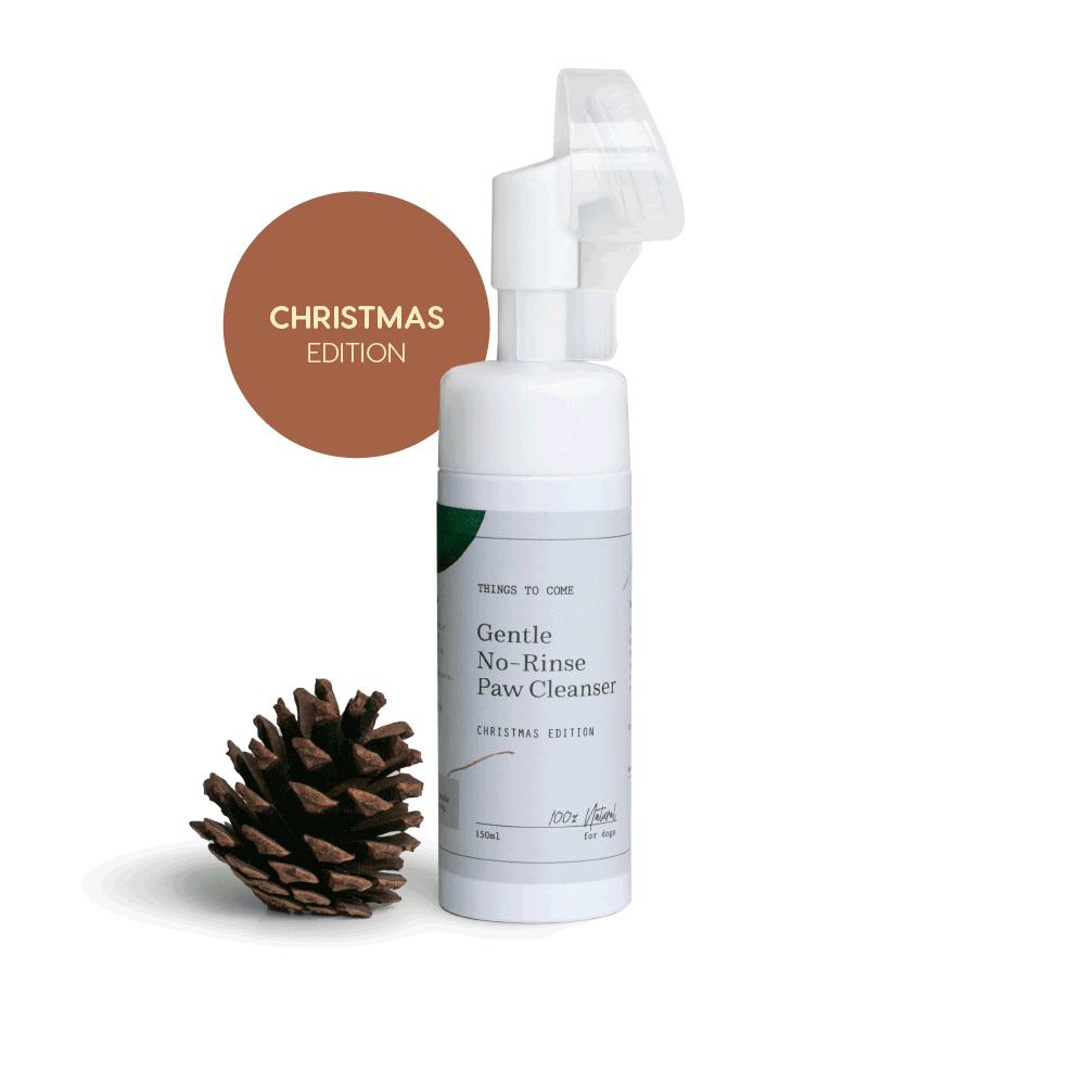 Gentle No-Rinse Paw Cleanser | Christmas Edition
