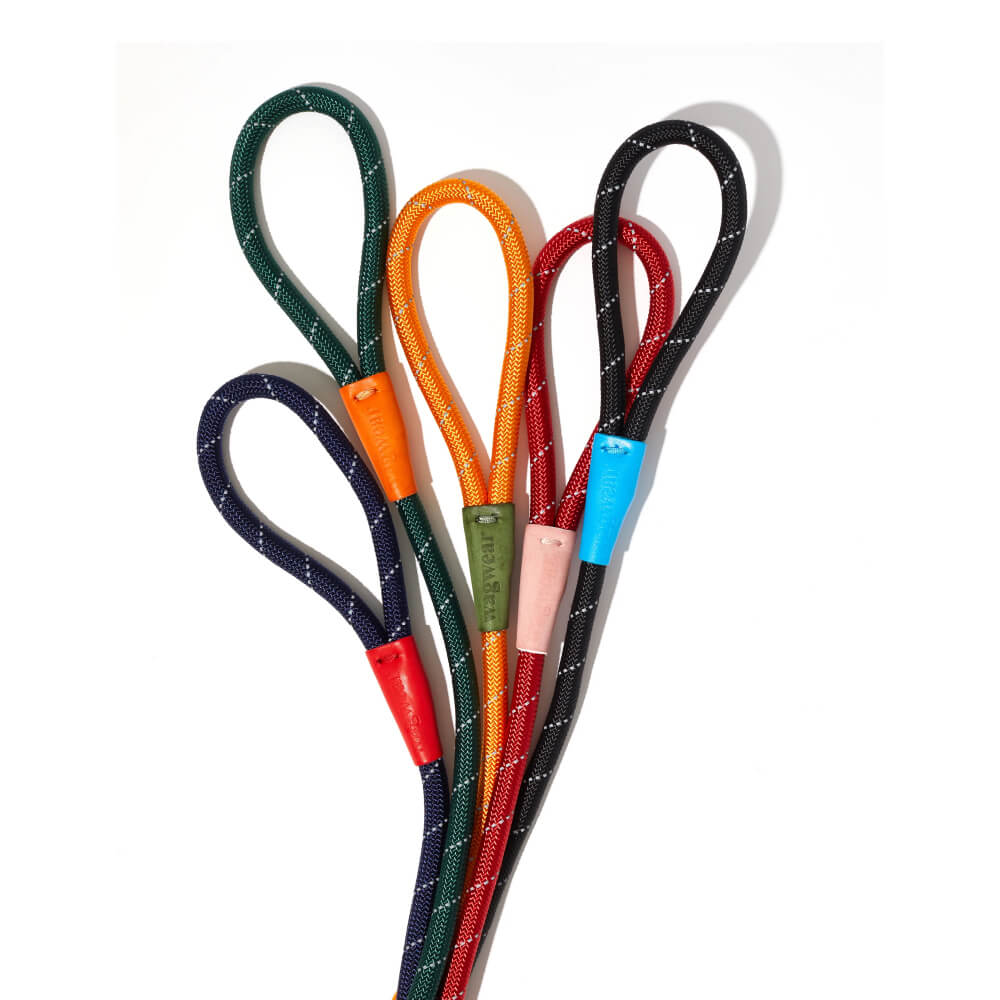 Wagwear Colour-Block Rope 1.2m Leash