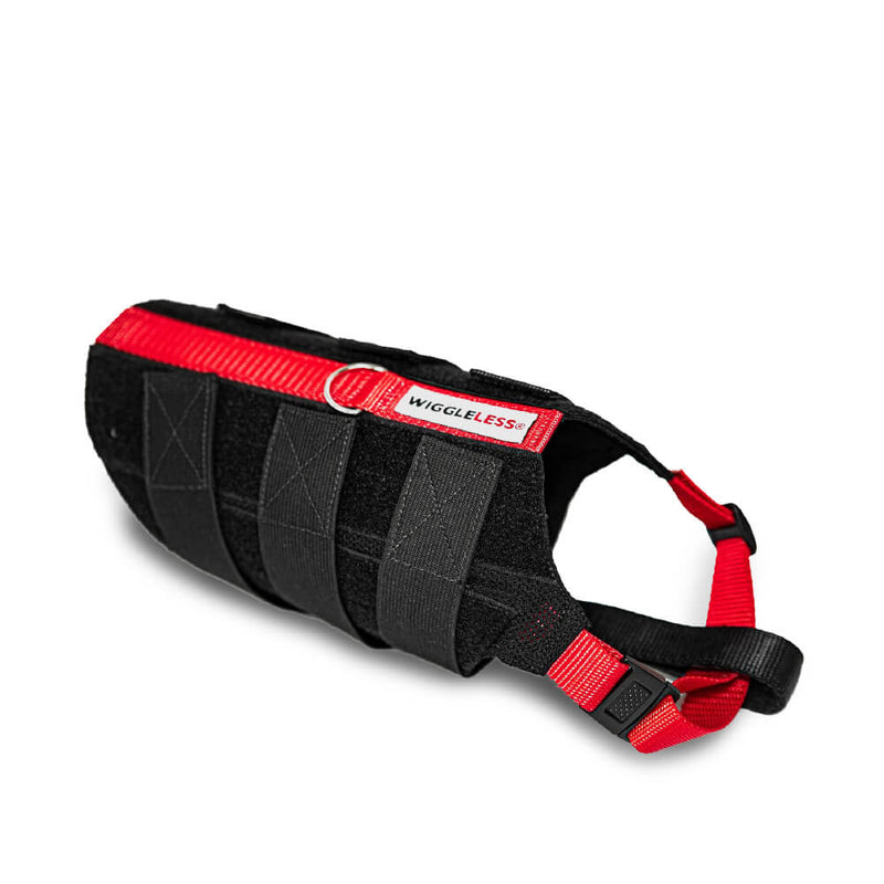 WiggleLess Back Brace