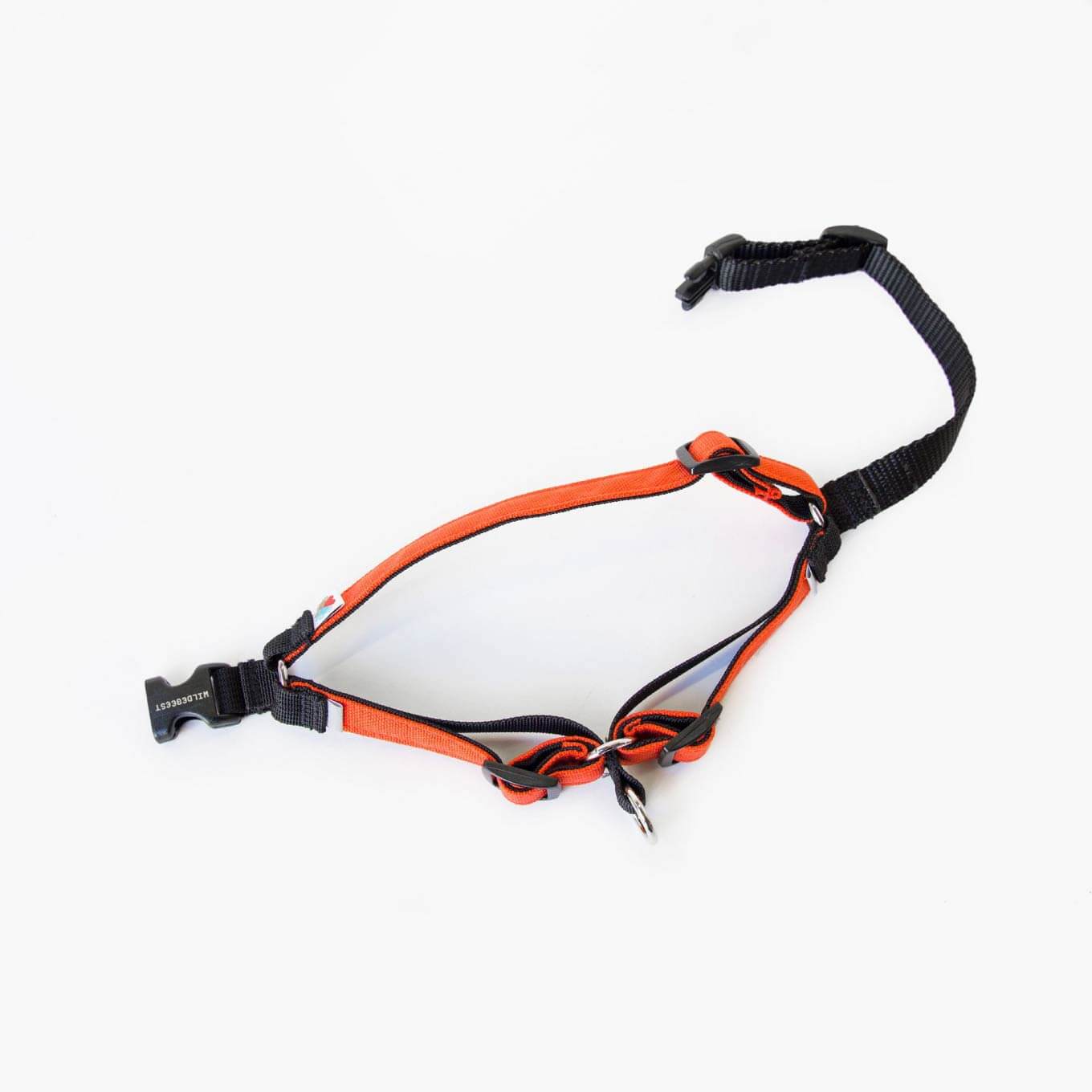 Wildebeest Linden No Pull Harness | Orange - Vanillapup Online Pet Store