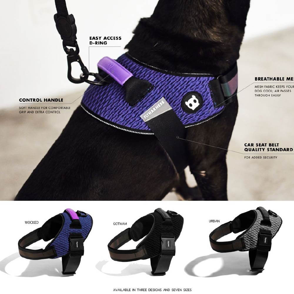 Zee.Dog Fly Harness | Gotham - Vanillapup Online Pet Store