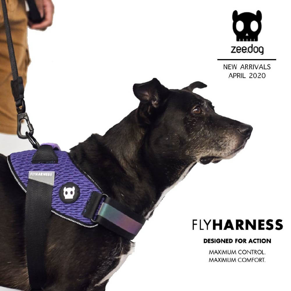 Zee.Dog Fly Harness | Gotham - Vanillapup Online Pet Store