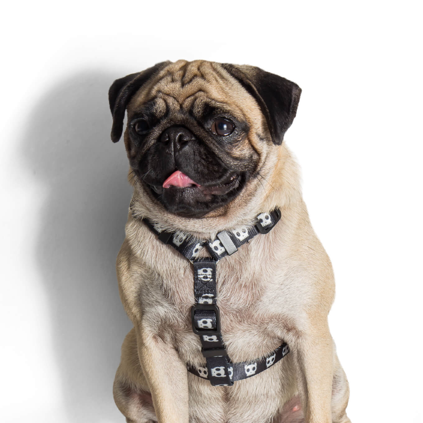 Zee.Dog H-Harness | Skull - Vanillapup Online Pet Store
