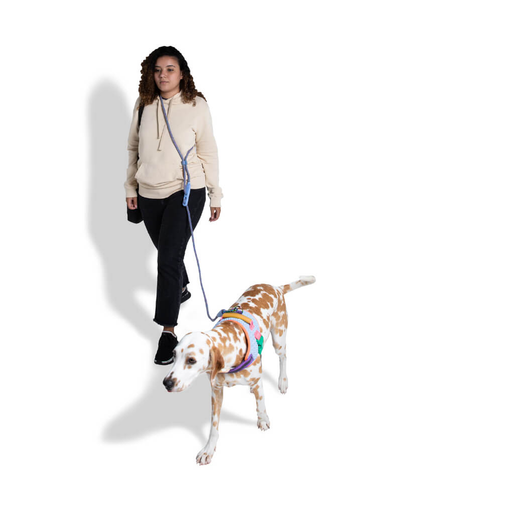 Zee.Dog Hands Free Rope Leash | Andromeda - Vanillapup Online Pet Store