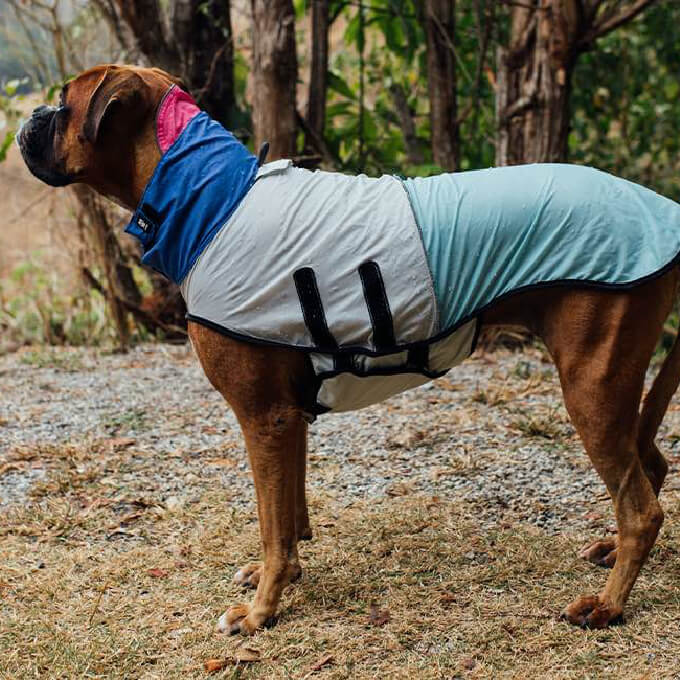 Zee.Dog Raincoat | 90s (XL)