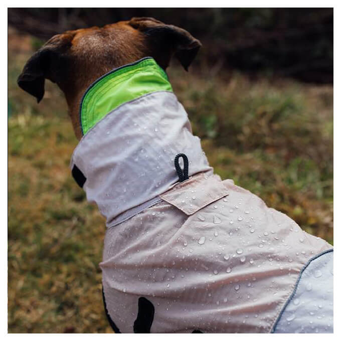 Zee.Dog Raincoat | Oatmeal (XL)