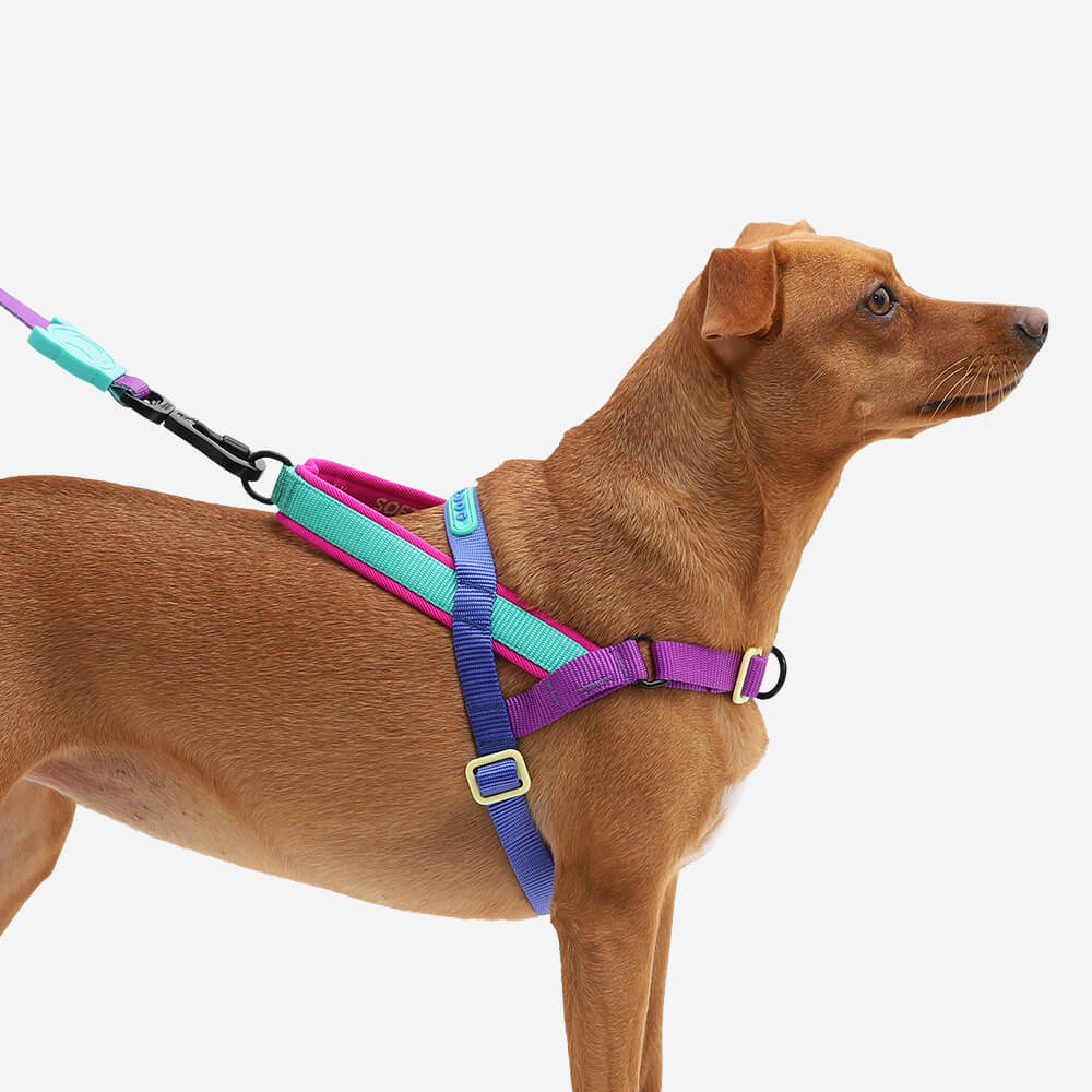 Zee Dog Softer Walk Harness | Shockwave