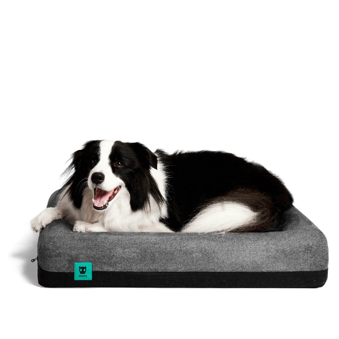 Zee.Dog Skull Bed 2.0 - Vanillapup Online Pet Store