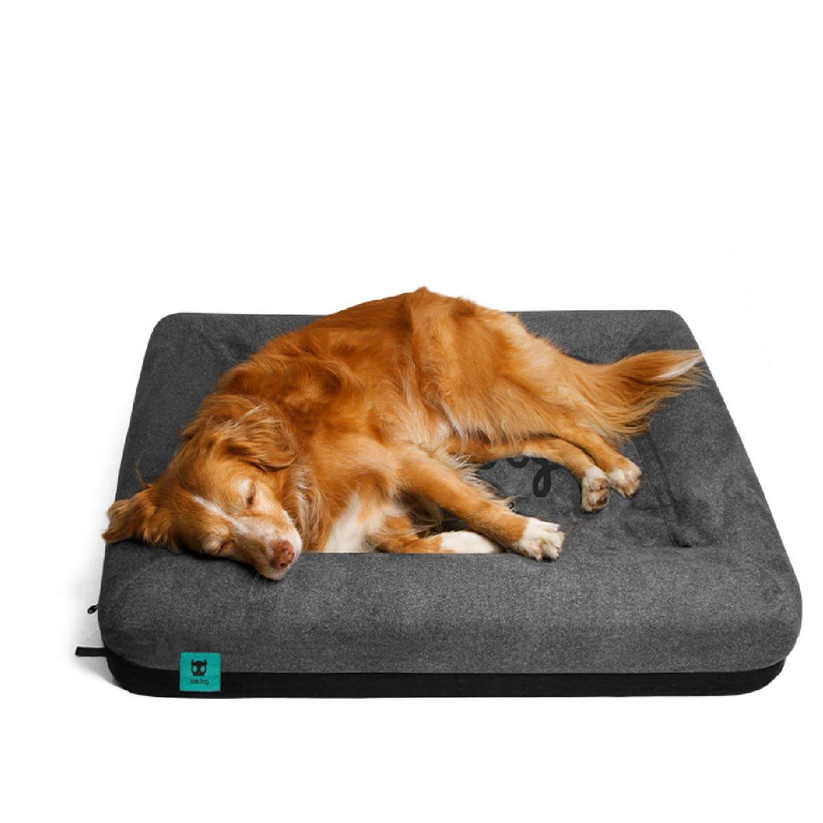 Zee.Dog Skull Bed | Memory Foam Orthopaedic Bed