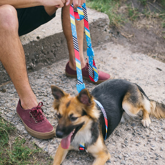 Zee.Dog Leash | Brooklyn (XS) - Vanillapup Online Pet Store