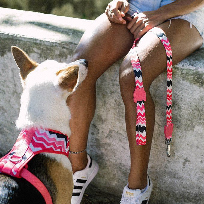 Zee.Dog Leash | Maui (XS, L) - Vanillapup Online Pet Store