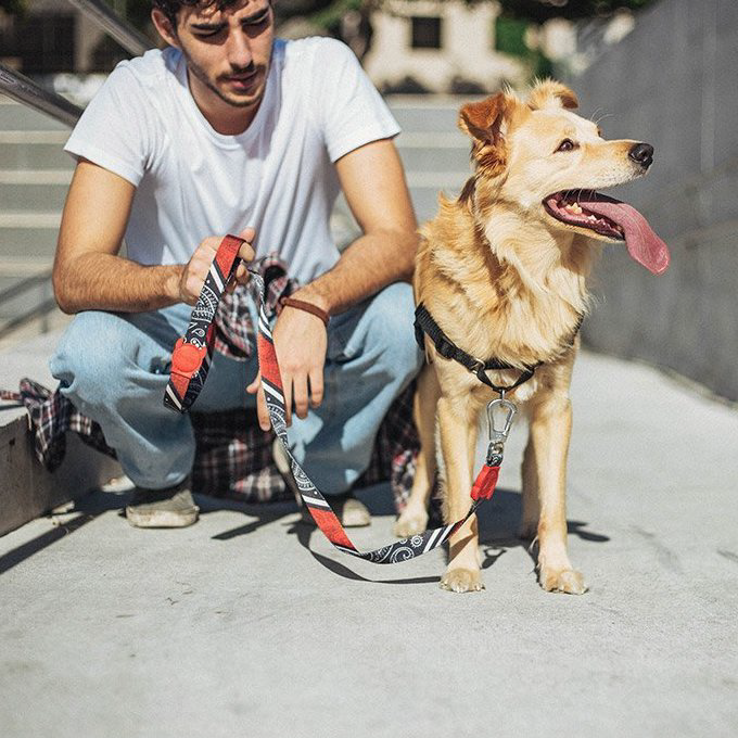 Zee.Dog Leash | Paisley (XS, L) - Vanillapup Online Pet Store