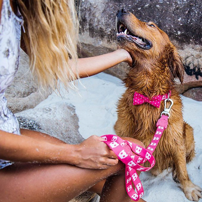 Zee.Dog Leash | Pink Skull - Vanillapup Online Pet Store