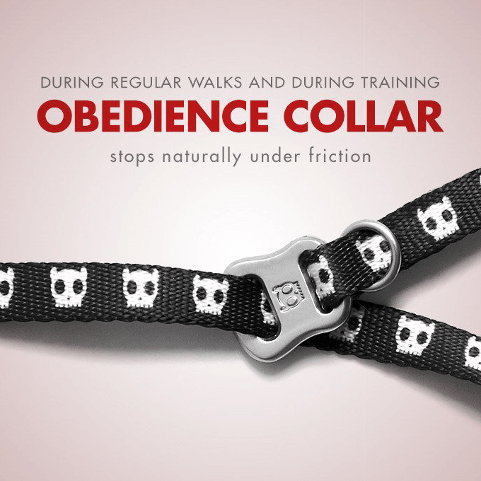Zee.Dog Obedience Collar | Skull (L) - Vanillapup Online Pet Store