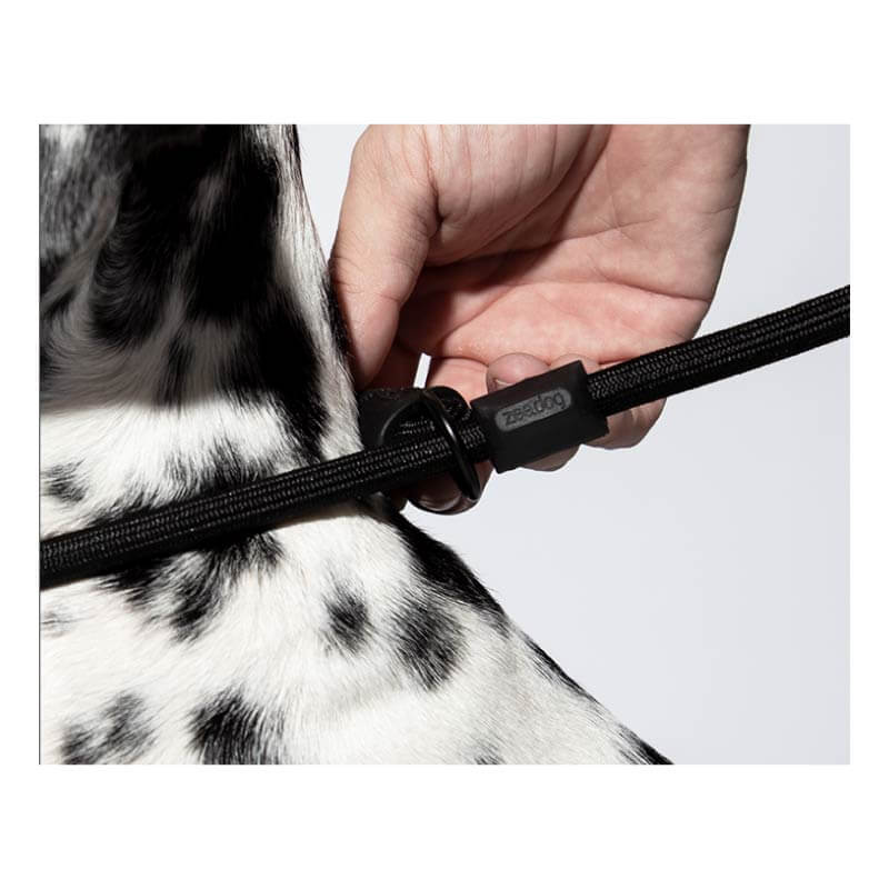 Zee.Dog Slip-on Leash | Gotham - Vanillapup Online Pet Store