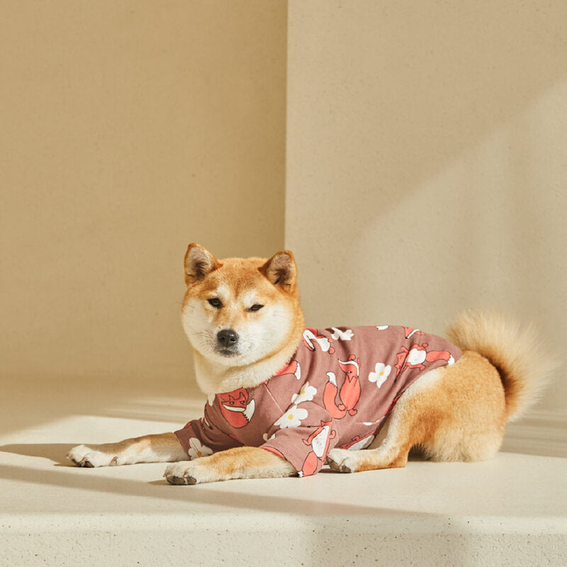 Louis Vuitton Dog Clothes -  Singapore