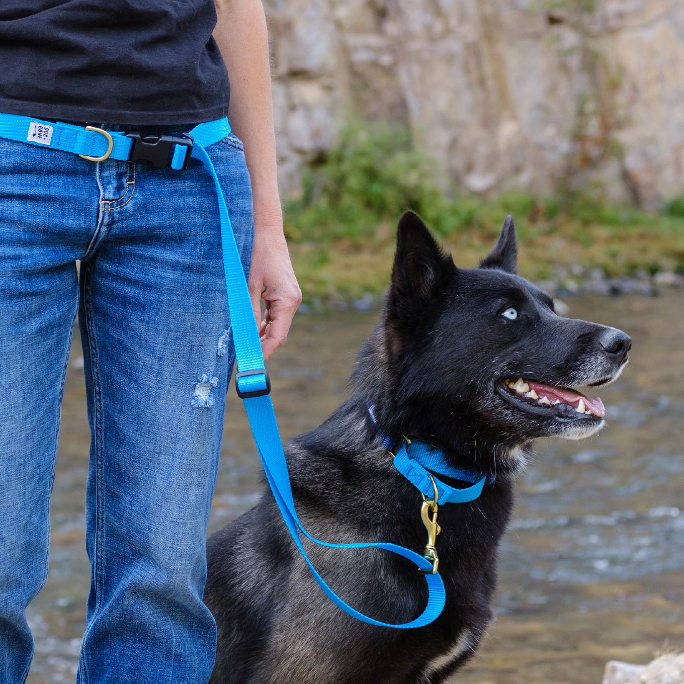 Dog + Bone Multi-way Adjustable Leash | Blue - Vanillapup Online Pet Store