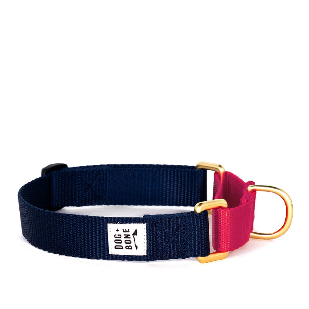 Dog + Bone Martingale Collar | Navy & Punch - Vanillapup Online Pet Store