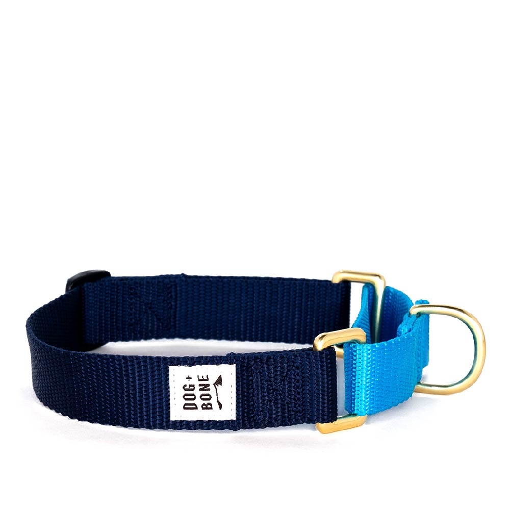 Dog + Bone Martingale Collar | Navy & Blue - Vanillapup Online Pet Store