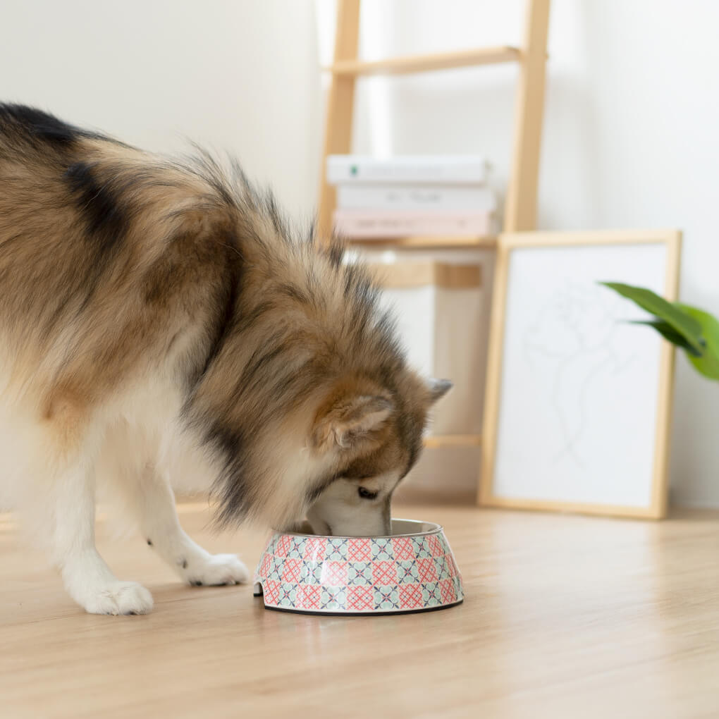 Ohpopdog Non-slip Bowl | Heritage Bibik Pink 14 - Vanillapup Online Pet Store