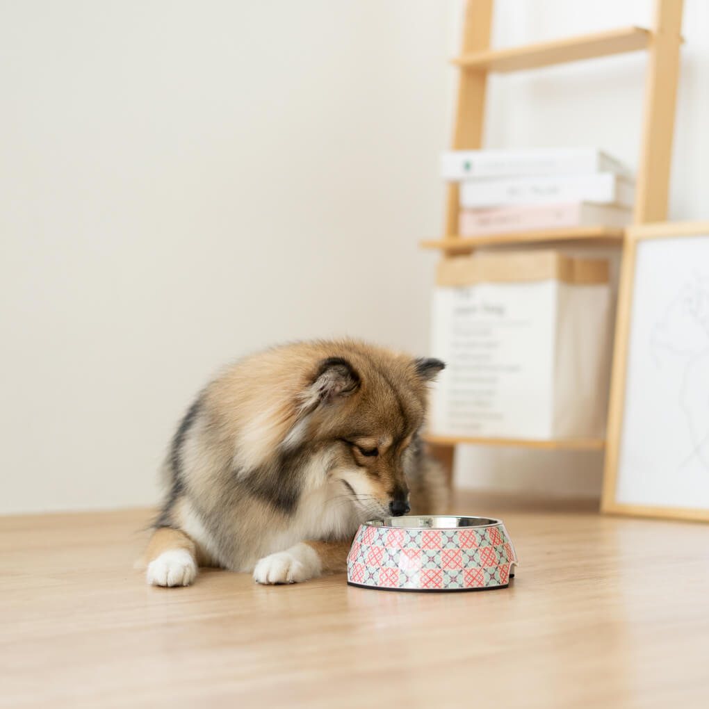 Ohpopdog Non-slip Bowl | Heritage Bibik Pink 14 - Vanillapup Online Pet Store