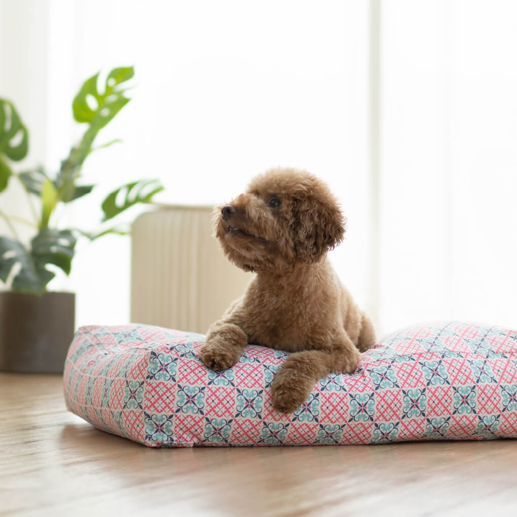Ohpopdog Microbeads Pet Bed | Heritage Bibik Pink 14 - Vanillapup Online Pet Store