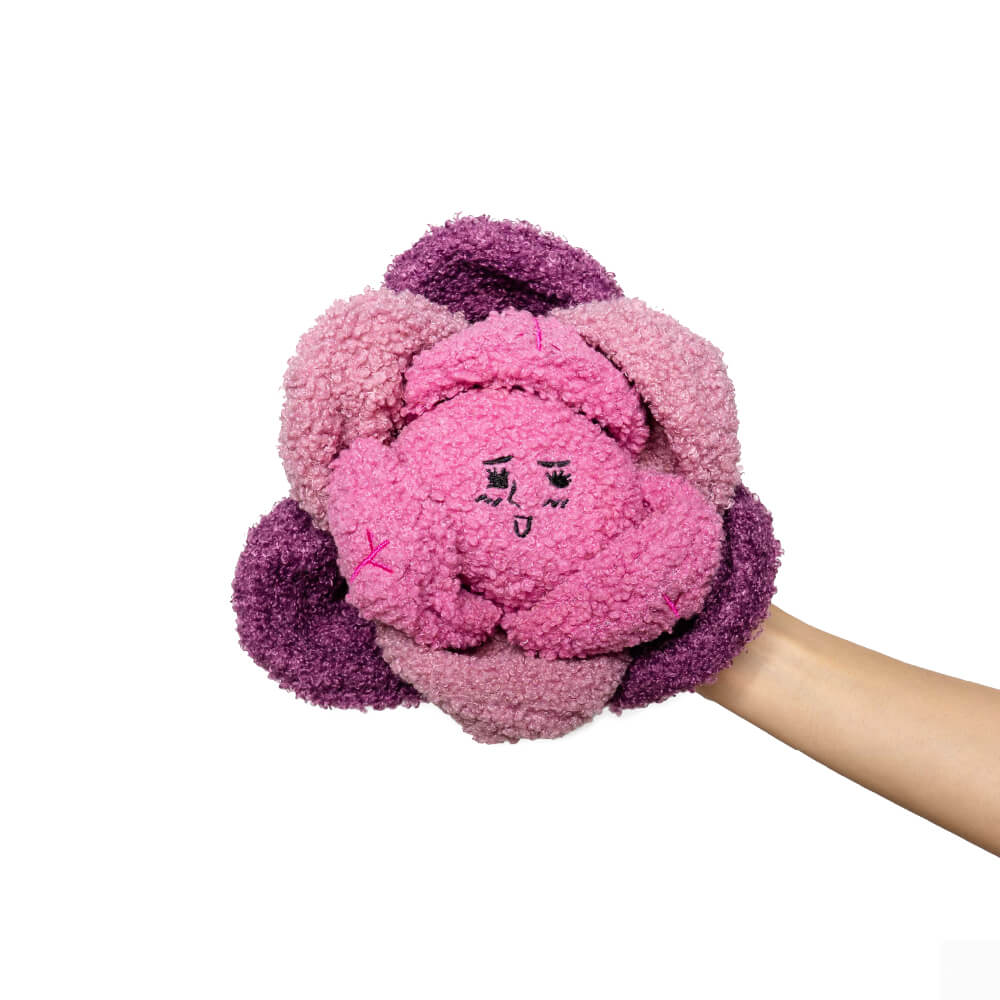 the furryfolks Cabbage Nosework Toy
