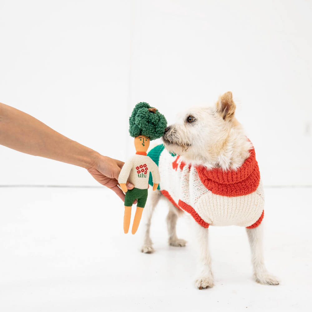 the furryfolks Hooman Nosework Toy