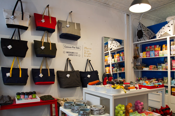 4 Stylish Pet Boutiques You Need to Visit in New York