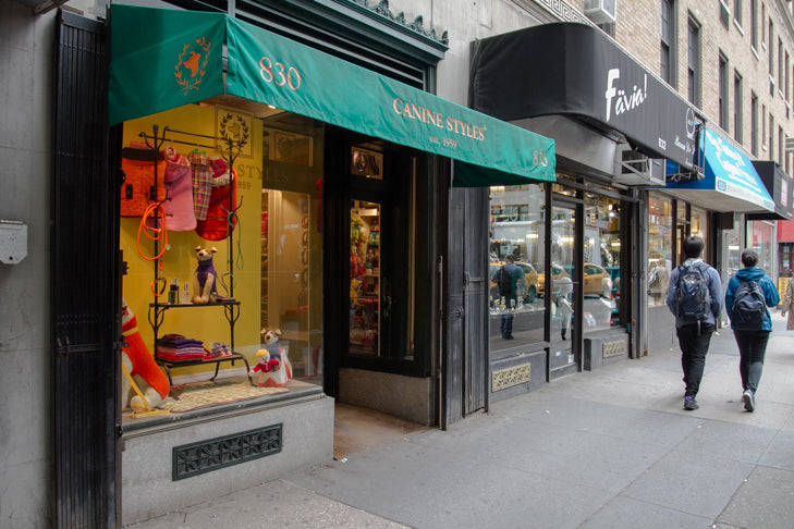 4 Stylish Pet Boutiques You Need to Visit in New York