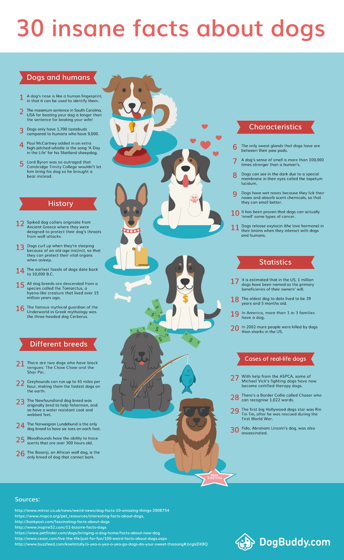 30 Dog Fun Facts You May Have Never Known Vanillapup