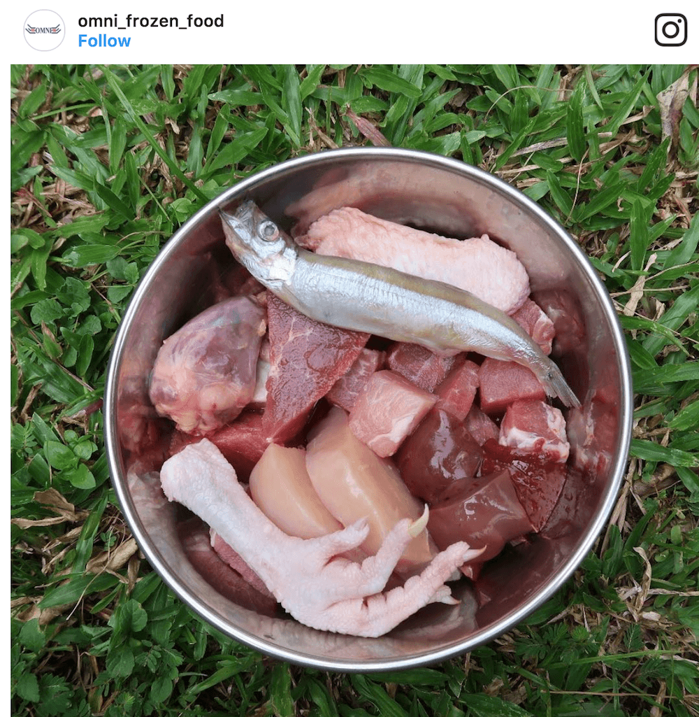 frozen meat for dogs