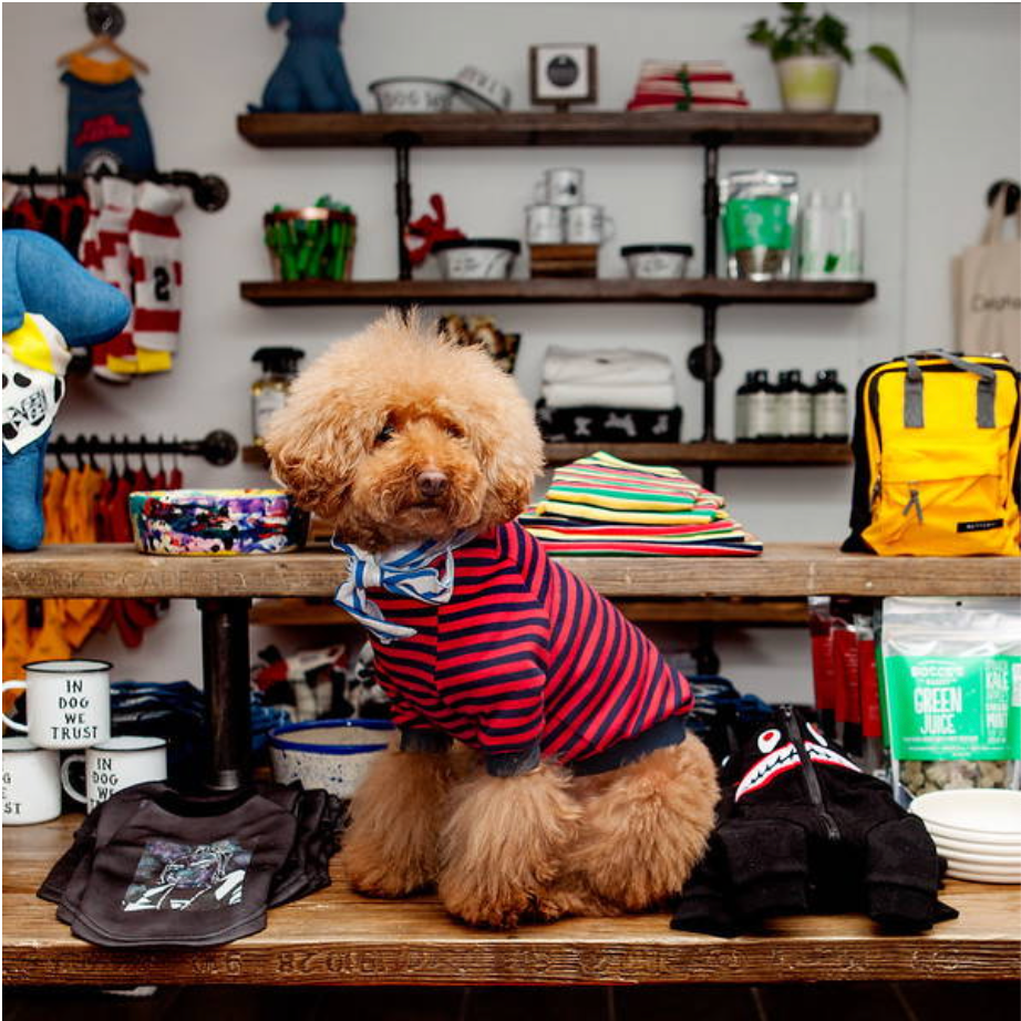 4 Stylish Pet Boutiques You Need To Visit In New York