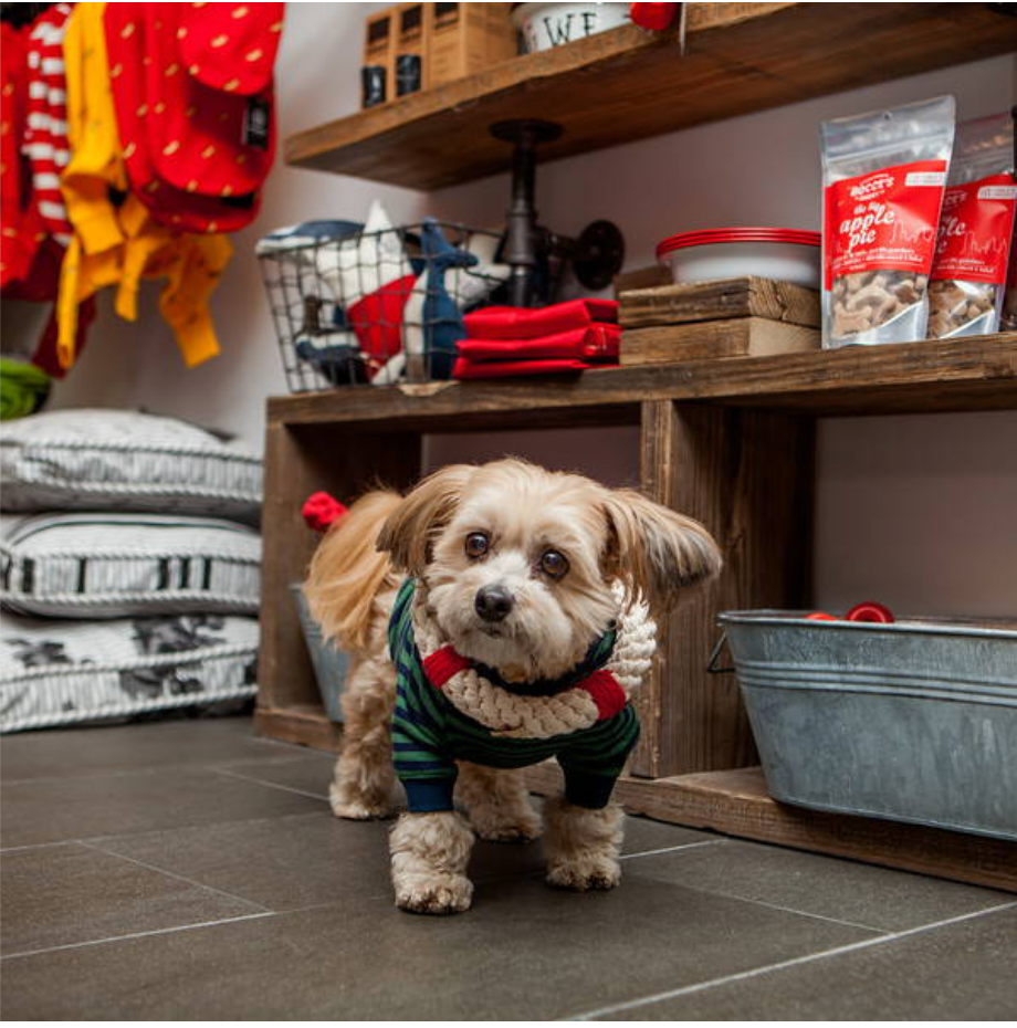 4 Stylish Pet Boutiques You Need to Visit in New York